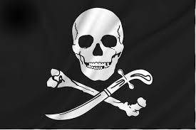 Piratenvlag___30x45cm