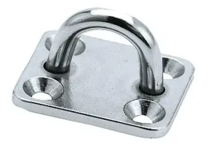 Rvs_oogplaatje_50_x_40mm