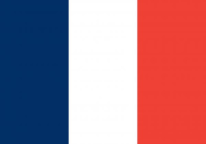 Vlag_Frankrijk___20x30