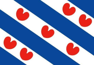 Vlag_Friesland___20x30cm