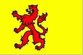 Vlag_Zuid_Holland___20x30cm